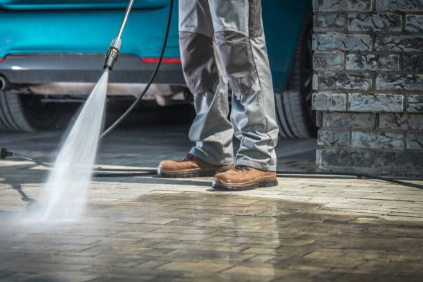Best Gutter Cleaning  in Lake Mohegan, NY