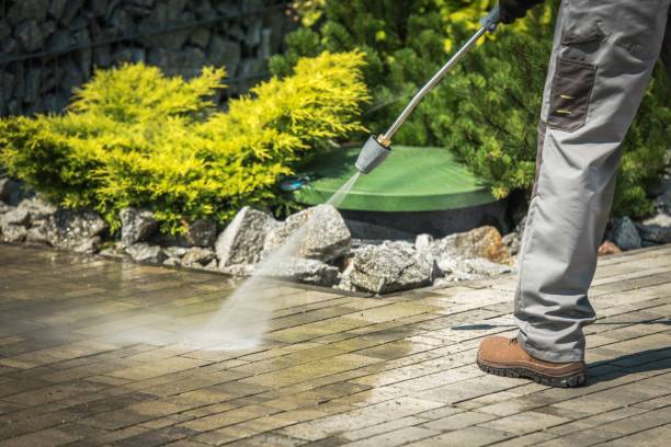 Best Dumpster Area Cleaning  in Lake Mohegan, NY